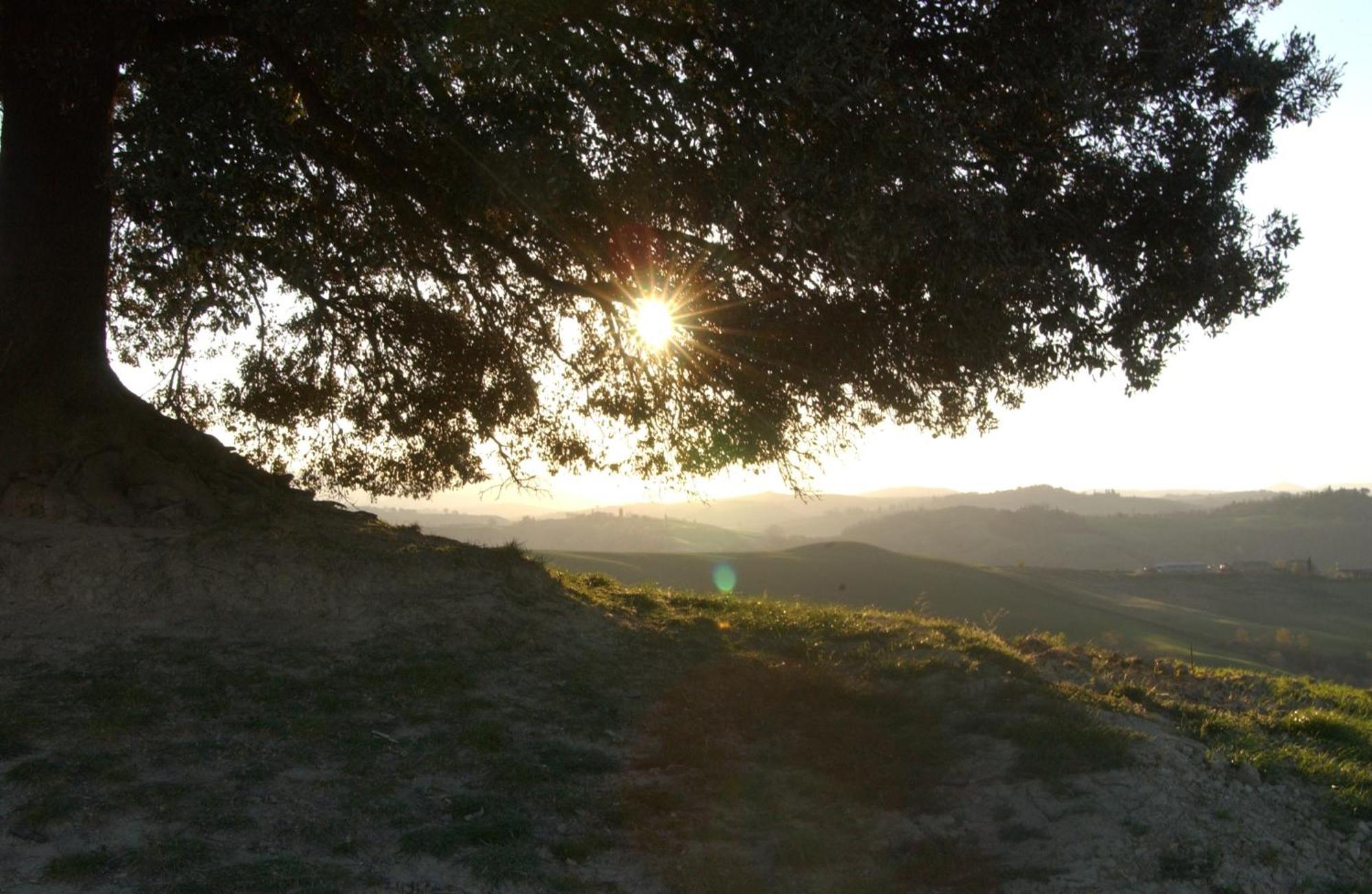 Fattoria Pieve A Salti Bauernhof *