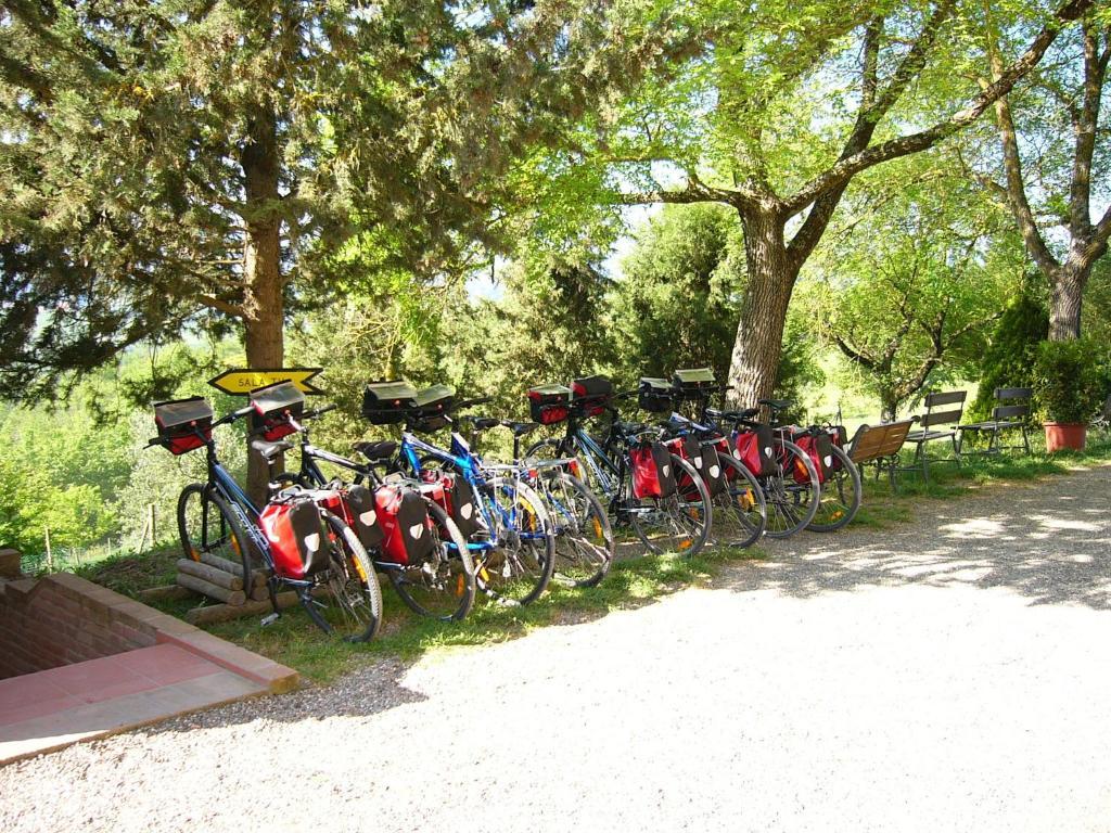 Bauernhof Fattoria Pieve A Salti Buonconvento