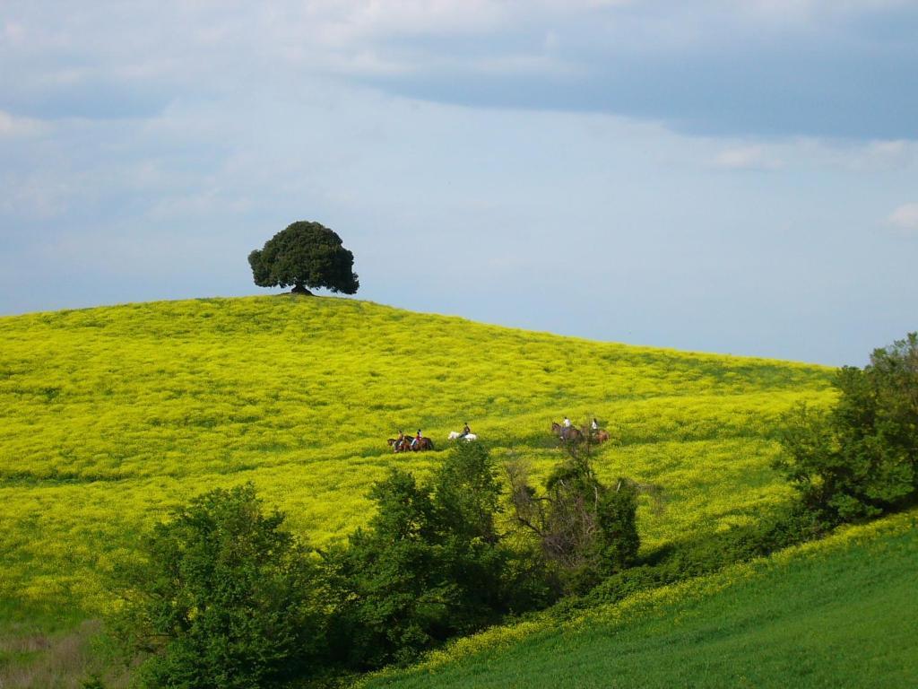 Fattoria Pieve A Salti