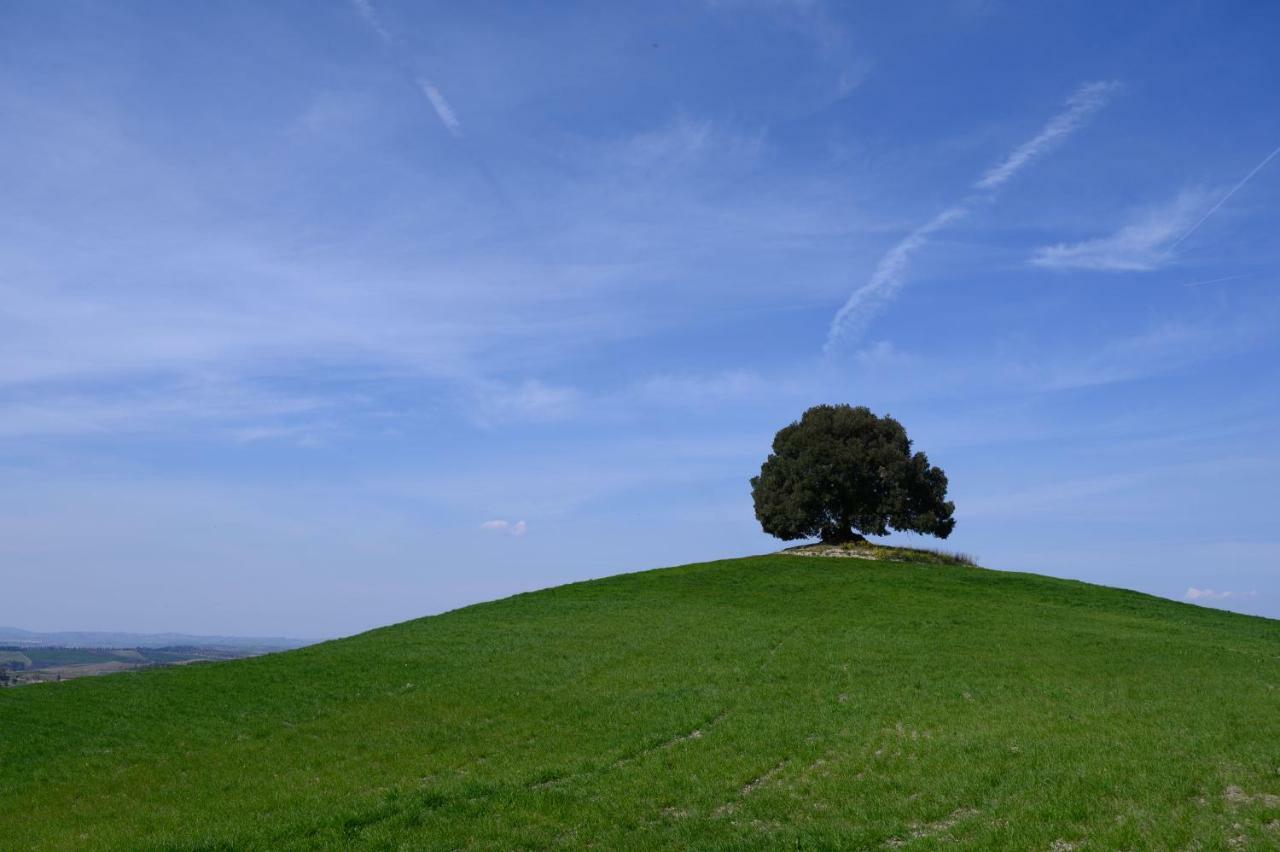 Fattoria Pieve A Salti * Buonconvento